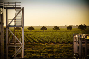 Central Californian Winery – Livingston, CA – 1